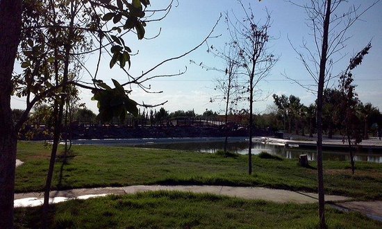 Bosque Urbano Torreon