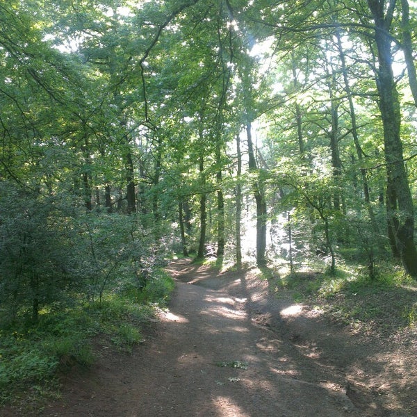 Bosco Macchia Grande