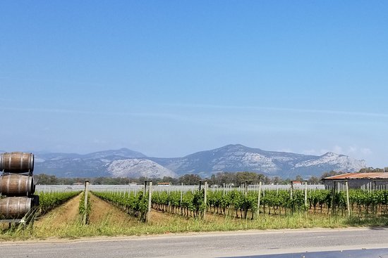Cantina Sant'Andrea Azienda Agricola