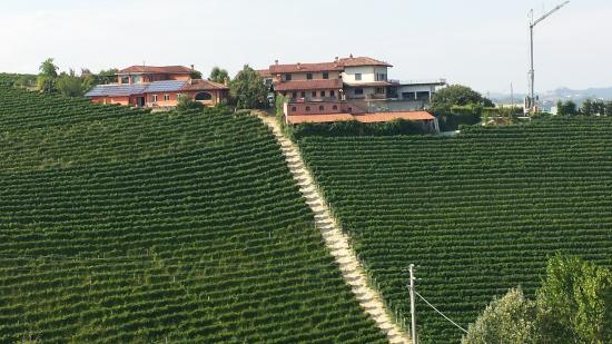 Azienda Agricola Veglio Mauro