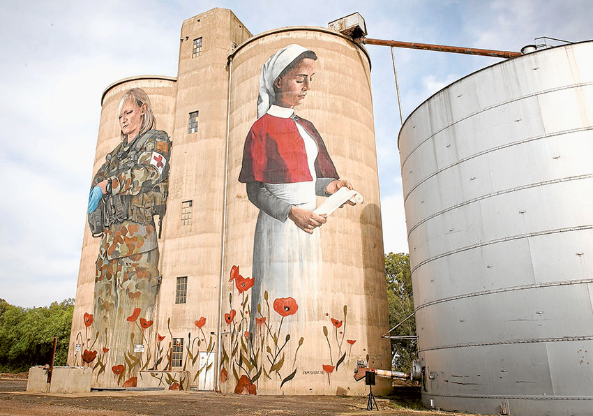 Devenish Silo Art