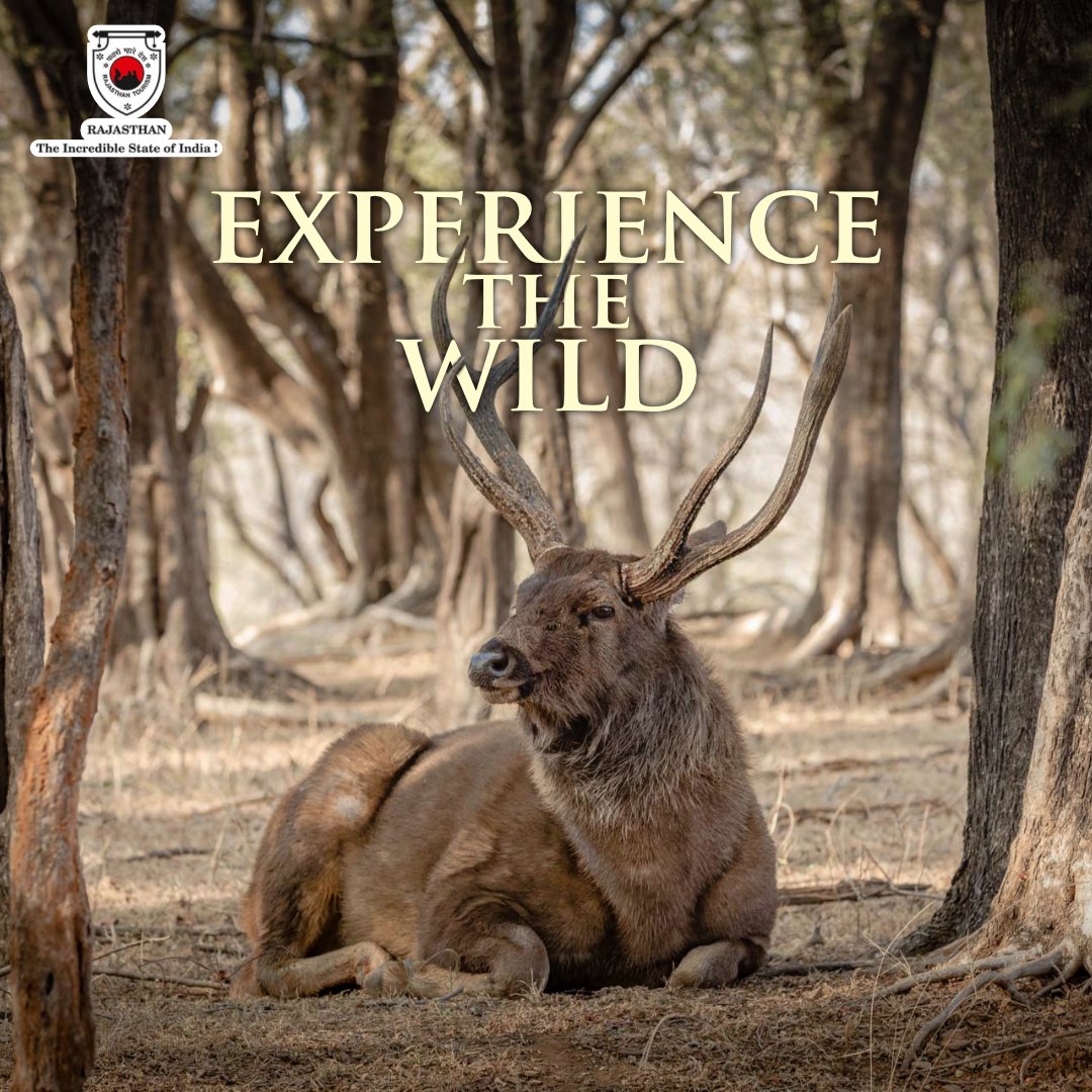 Darrah Wildlife Sanctuary