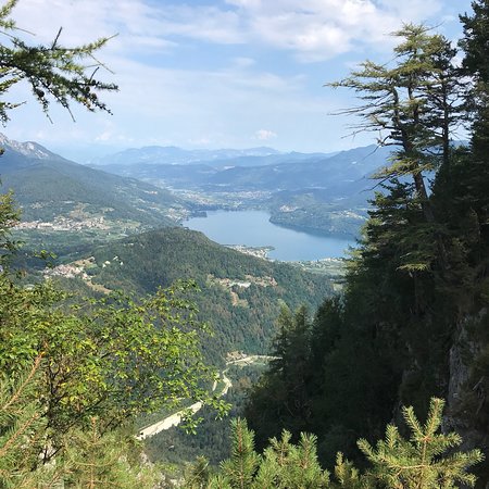 Il Respiro Degli Alberi