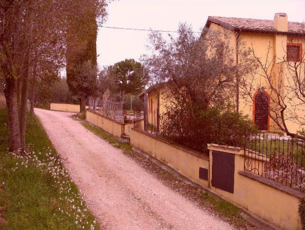 Il Vivismo