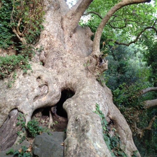 Il Gigante di Curinga