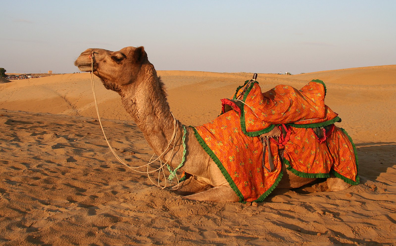 Hinglaj Tour & Travels