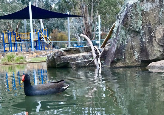 John Knight Memorial Park