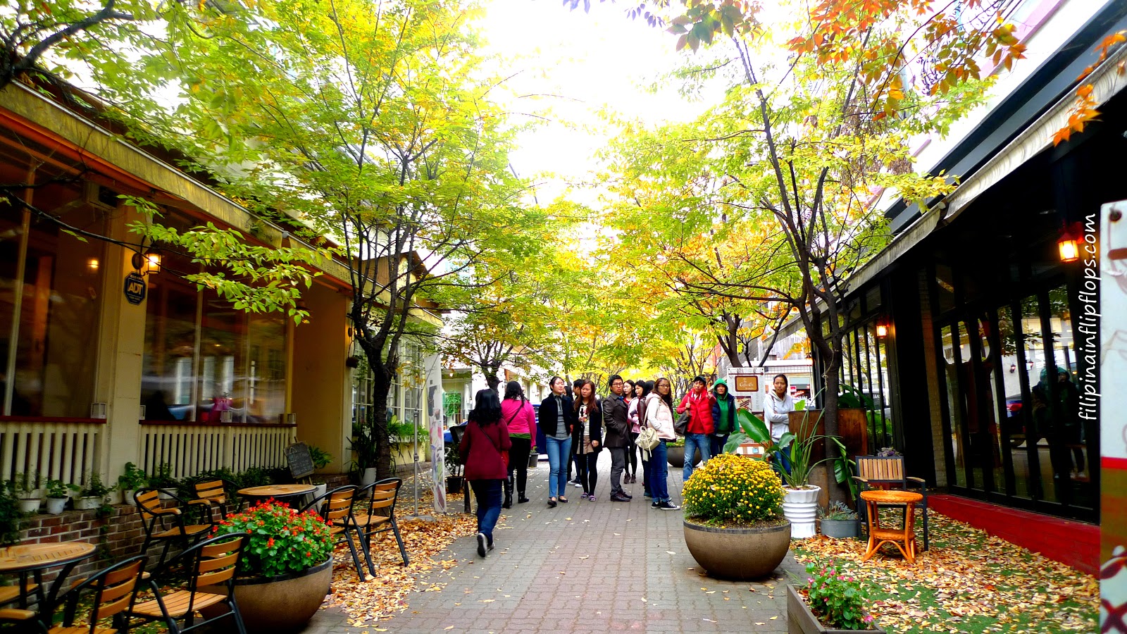 Jukjeon Cafe Street