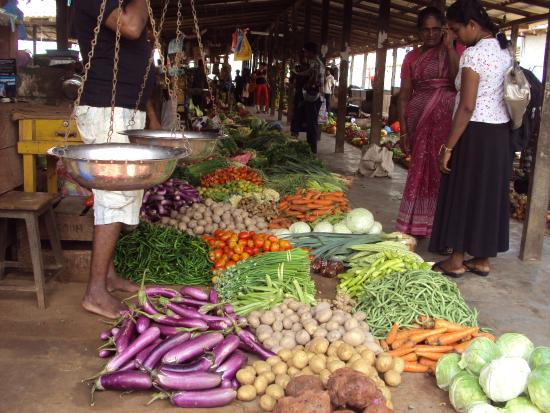 Jaffna Market