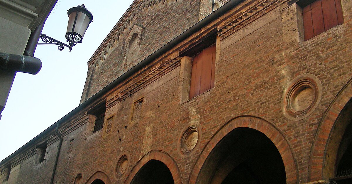 Faggio di San Francesco