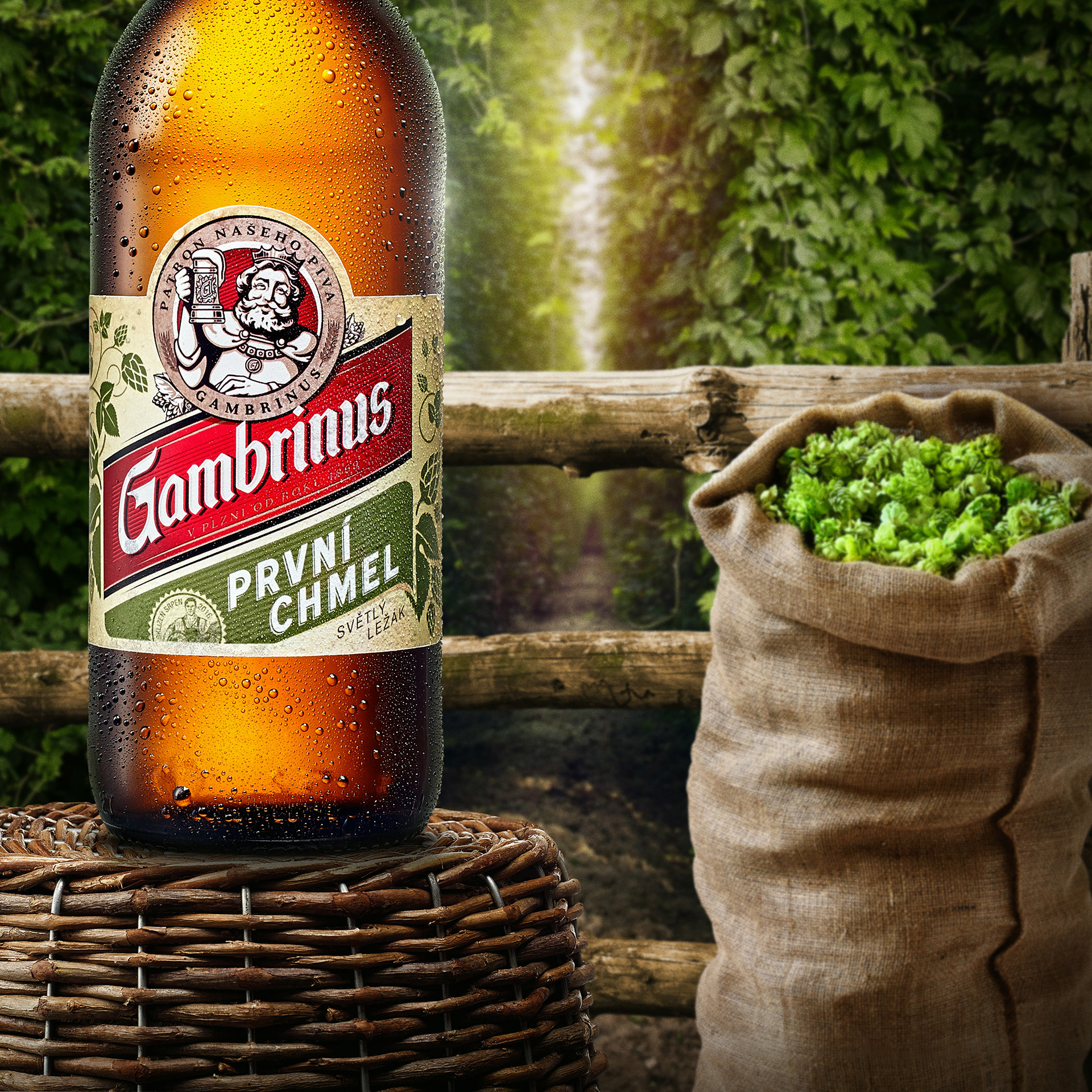 Gambrinus
