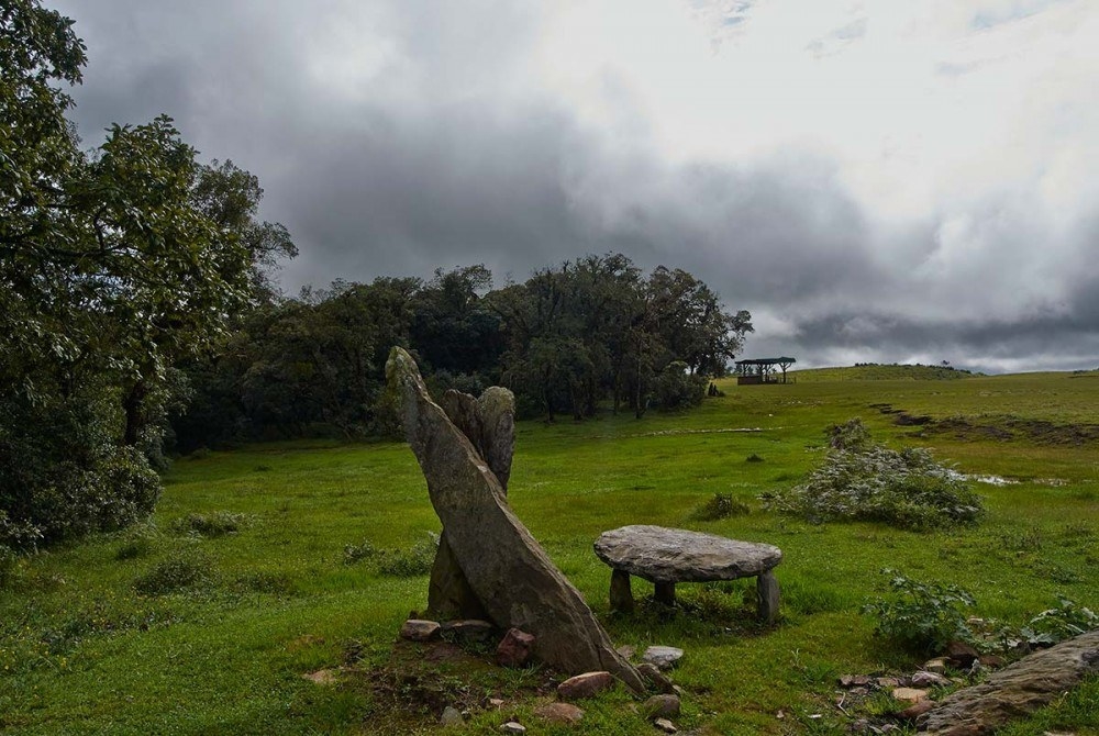 Mawphlang Sacred Forest