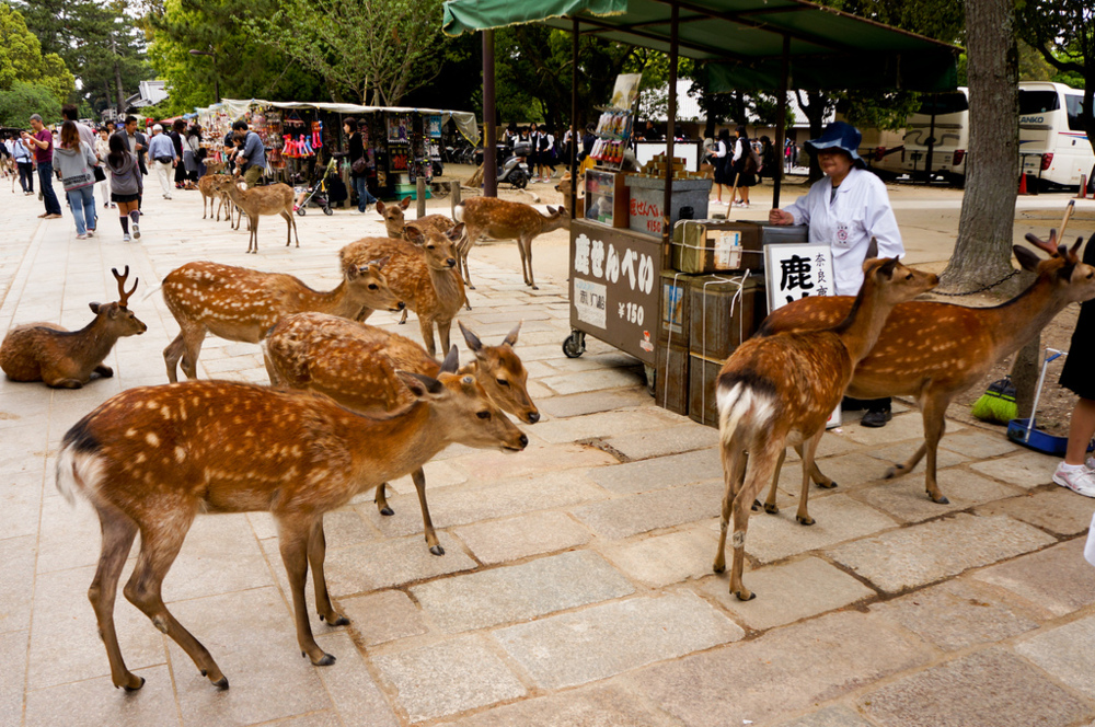 Mrigasthali Deer Park