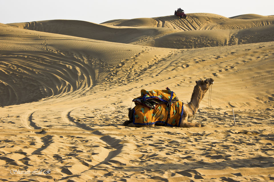 Thar Desert
