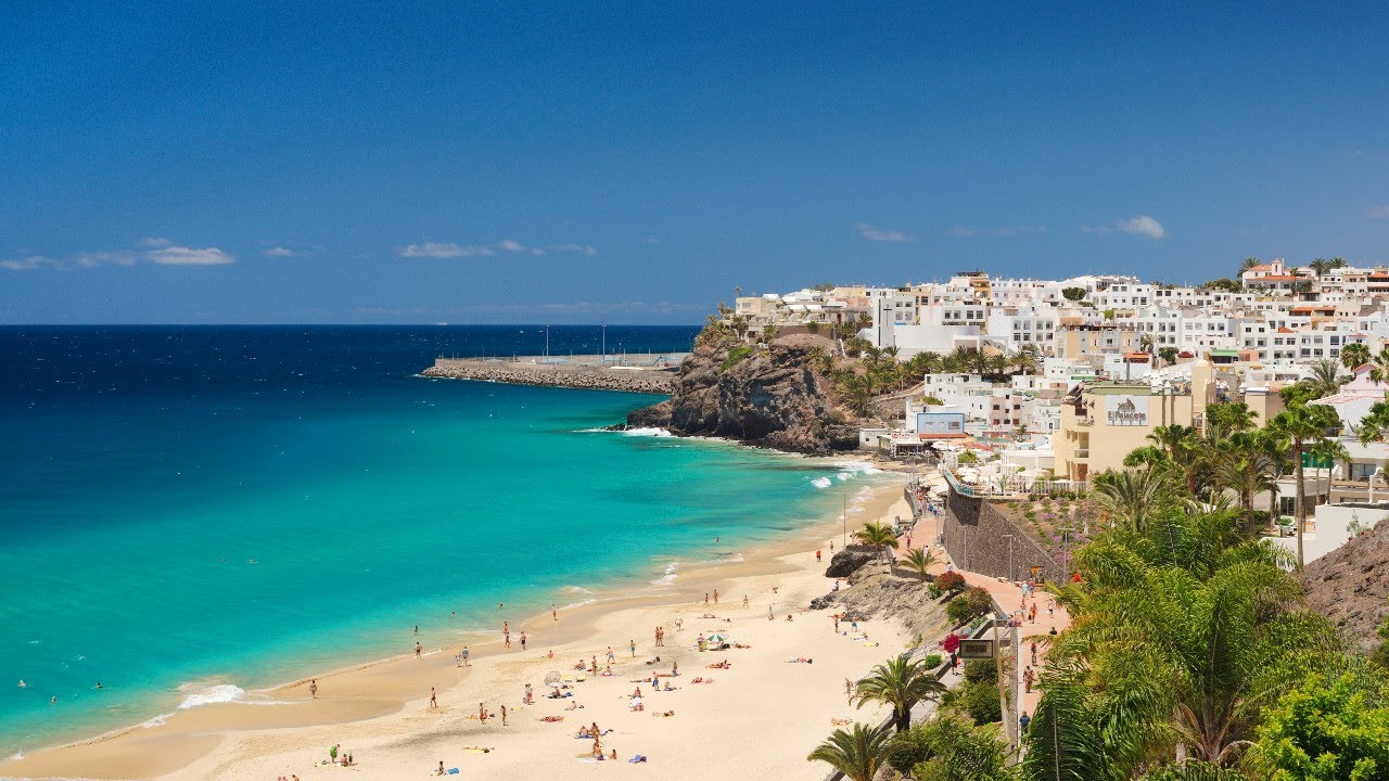 Tortuga Fuerteventura