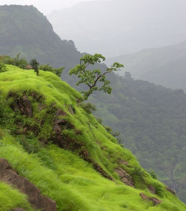 Silent Valley National Park