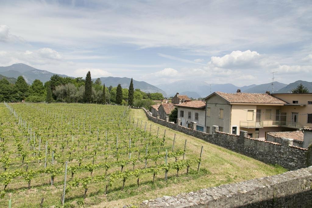 Società Agricola La Fiòca s.r.l.
