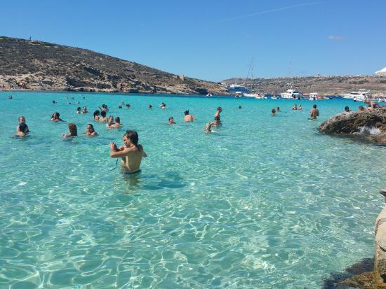 United Comino Ferries