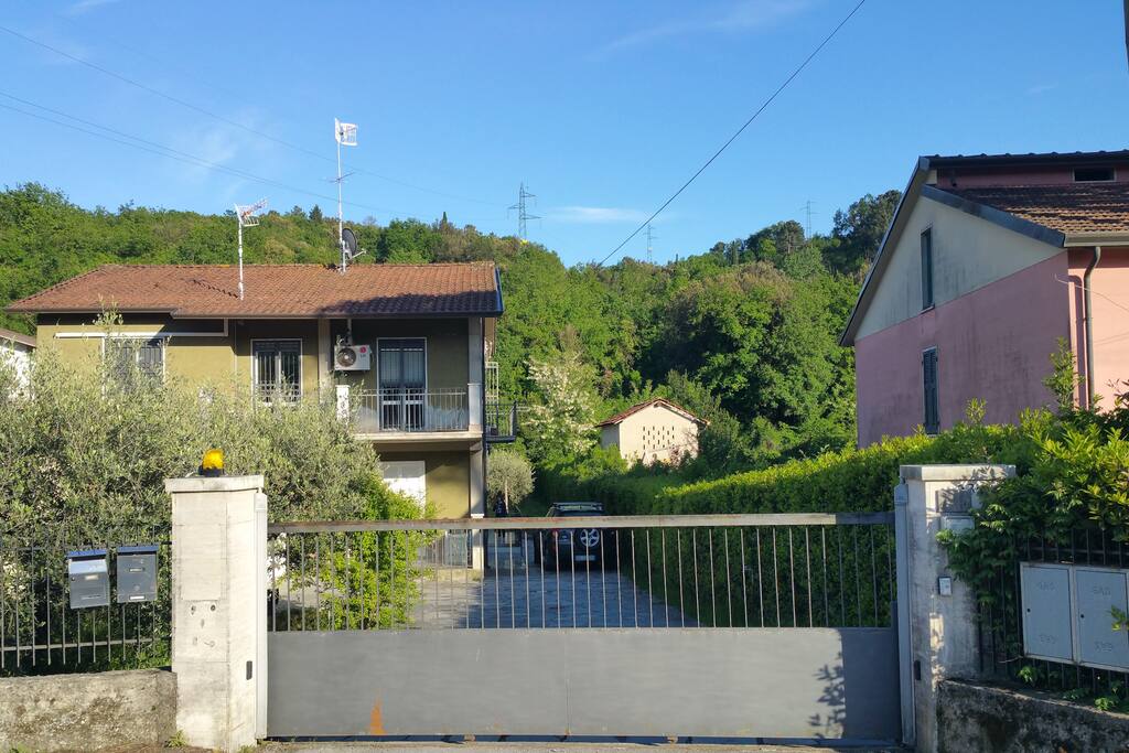 Viky V sarzana