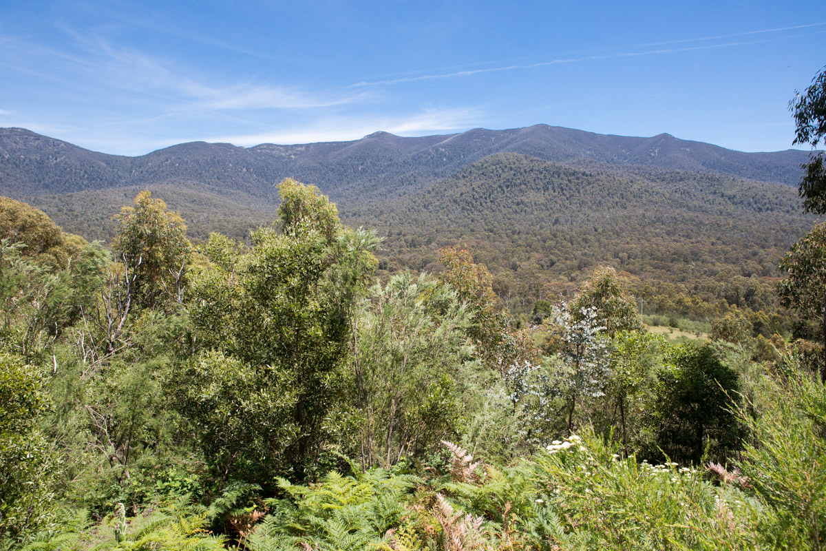 Tidbinbilla Nature Reserve