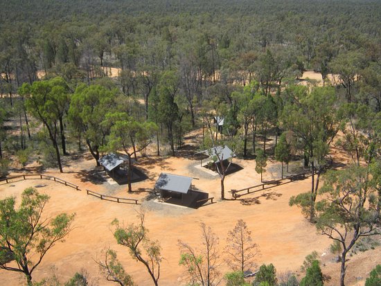 Pilliga National Park