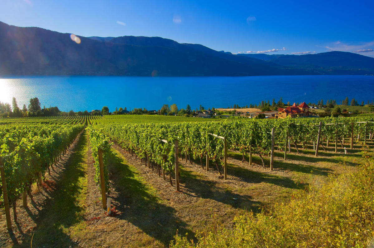 Gray Monk Estate Winery