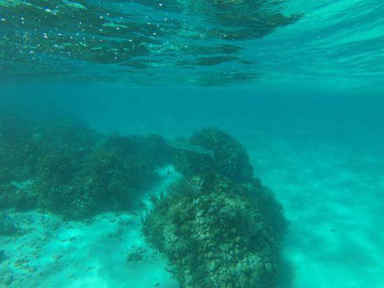 Horseshoe Reef