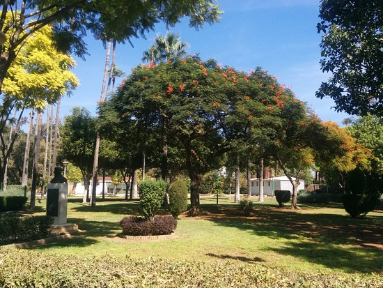 Limassol Municipal Gardens