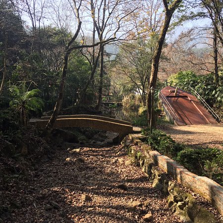 Tiexi Forest Park