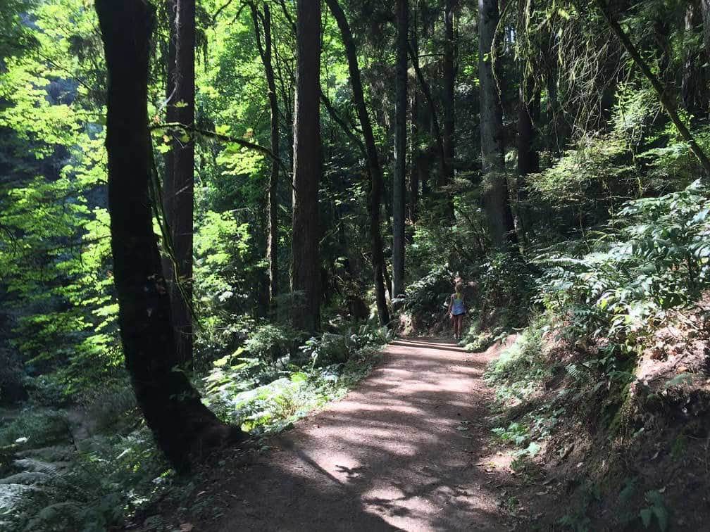 Peace Forest Park