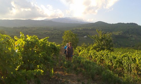 Tenuta Monte Gorna