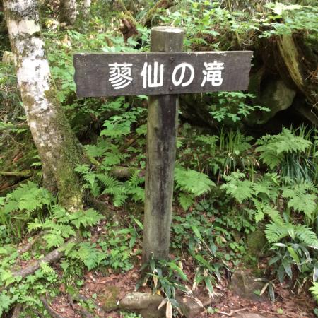 Nanairobatake
