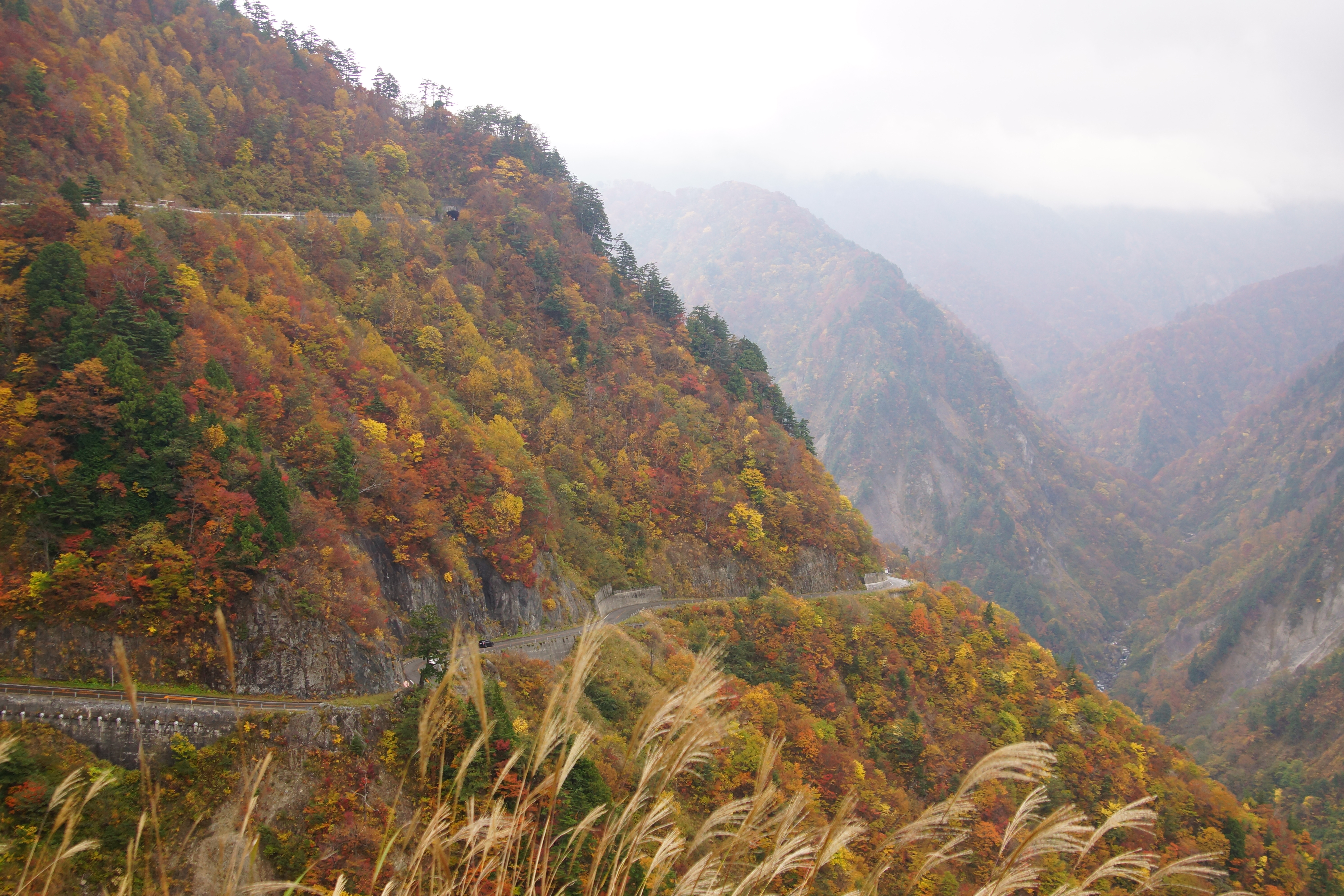 Hakusan Shirakawa-go White Road