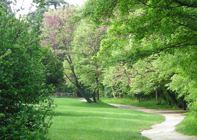 Parco di Monte Paderno