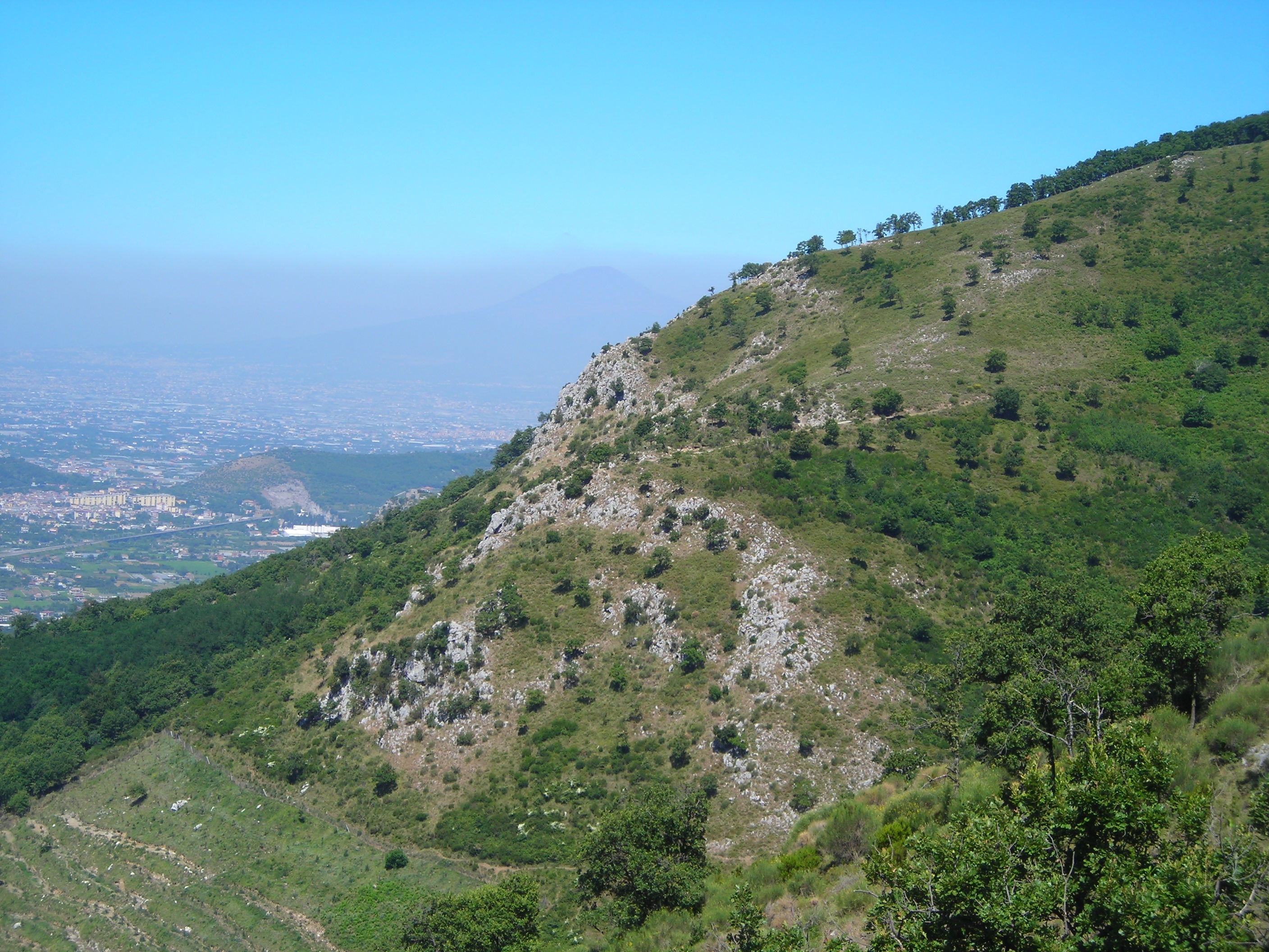 Parco Naturale Oasi WWF Diecimare
