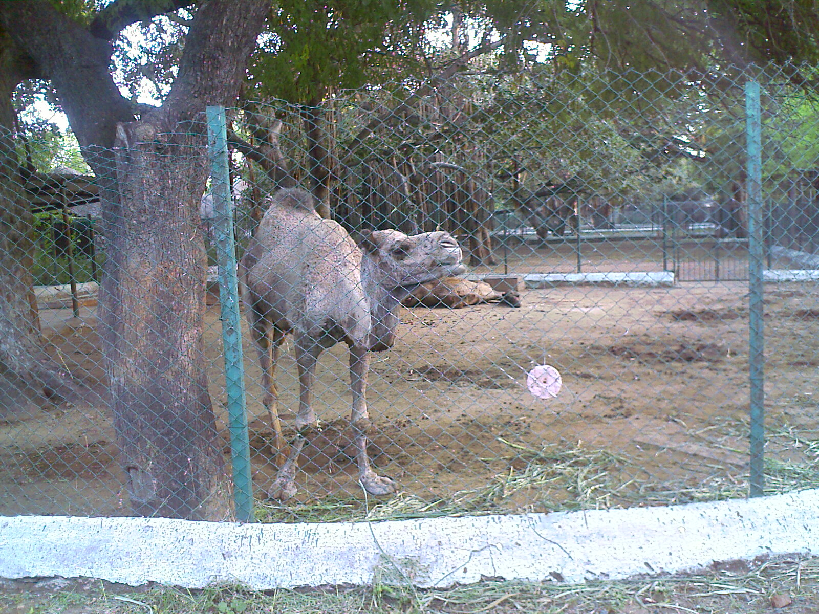 VOC Park And Zoo