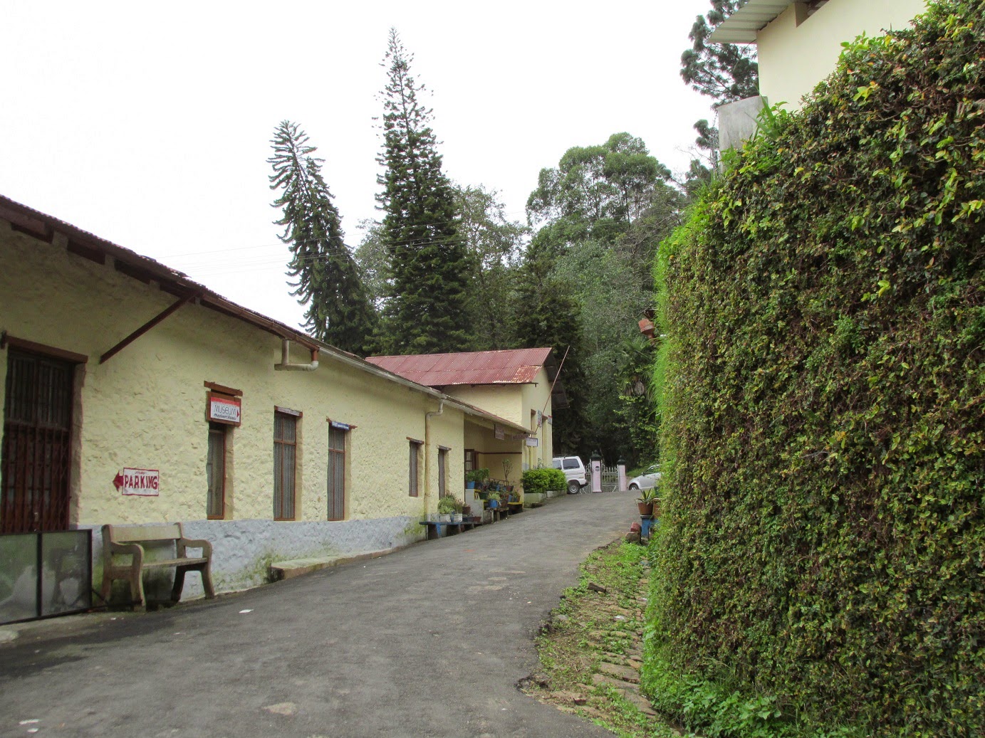Outdoor Pictures 1