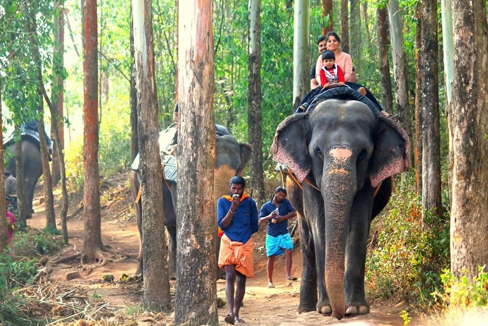 Anakkulam - Elephant View Point