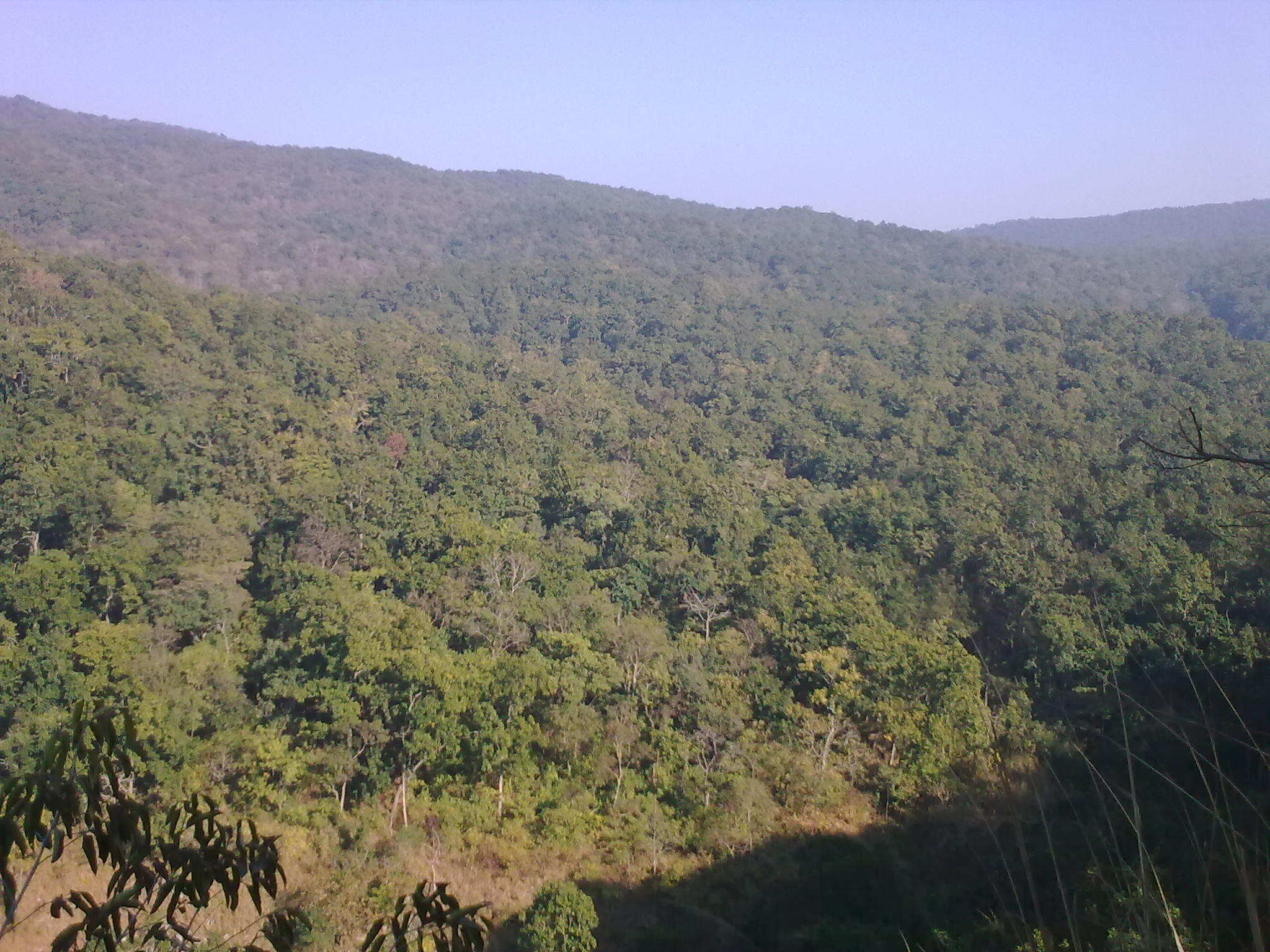 Simlipal Tiger Reserve