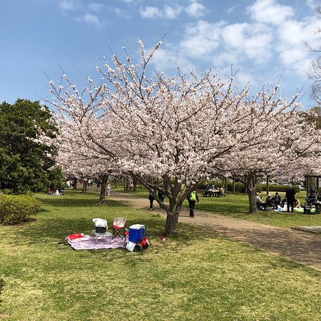 Hinode Shinsui Park