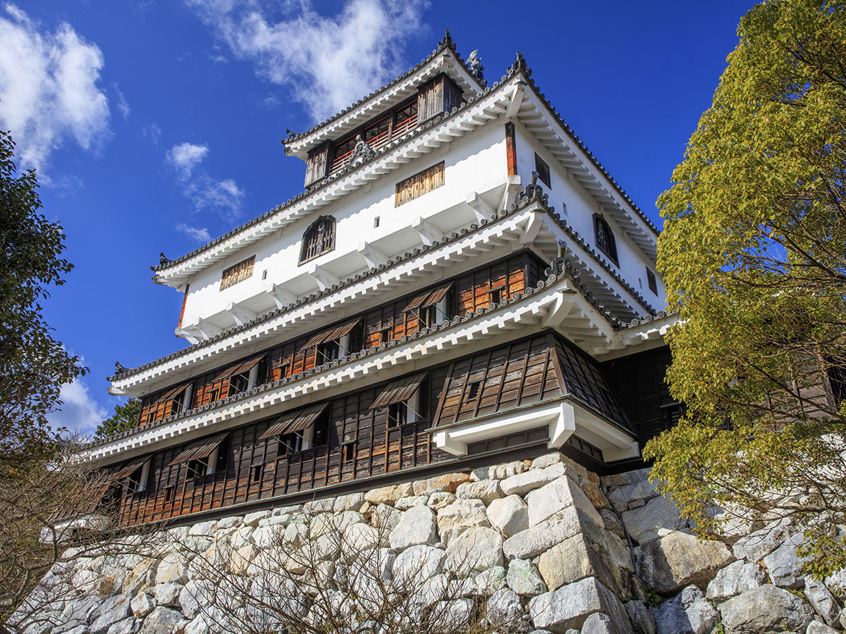 Iwakuni Castle