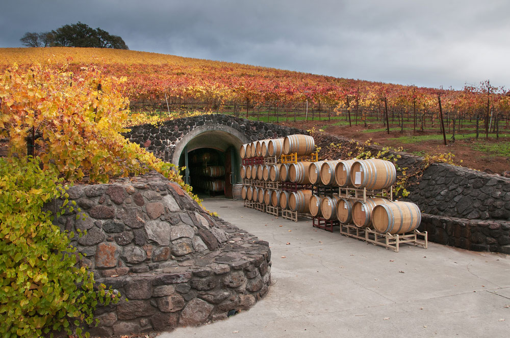 MGVs Winery