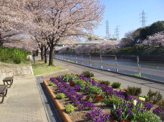 Arakogawa Park