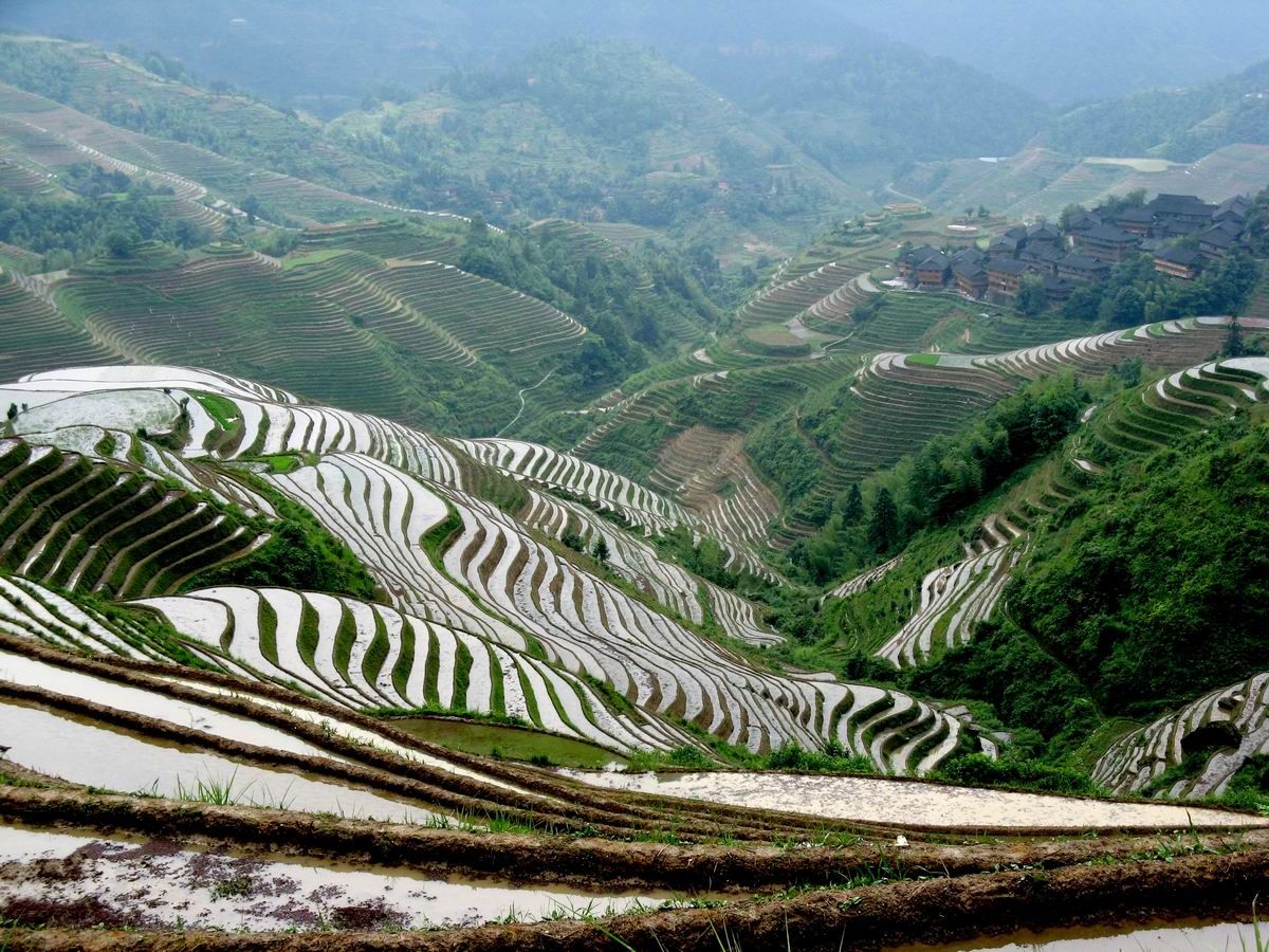 Youne Terraces