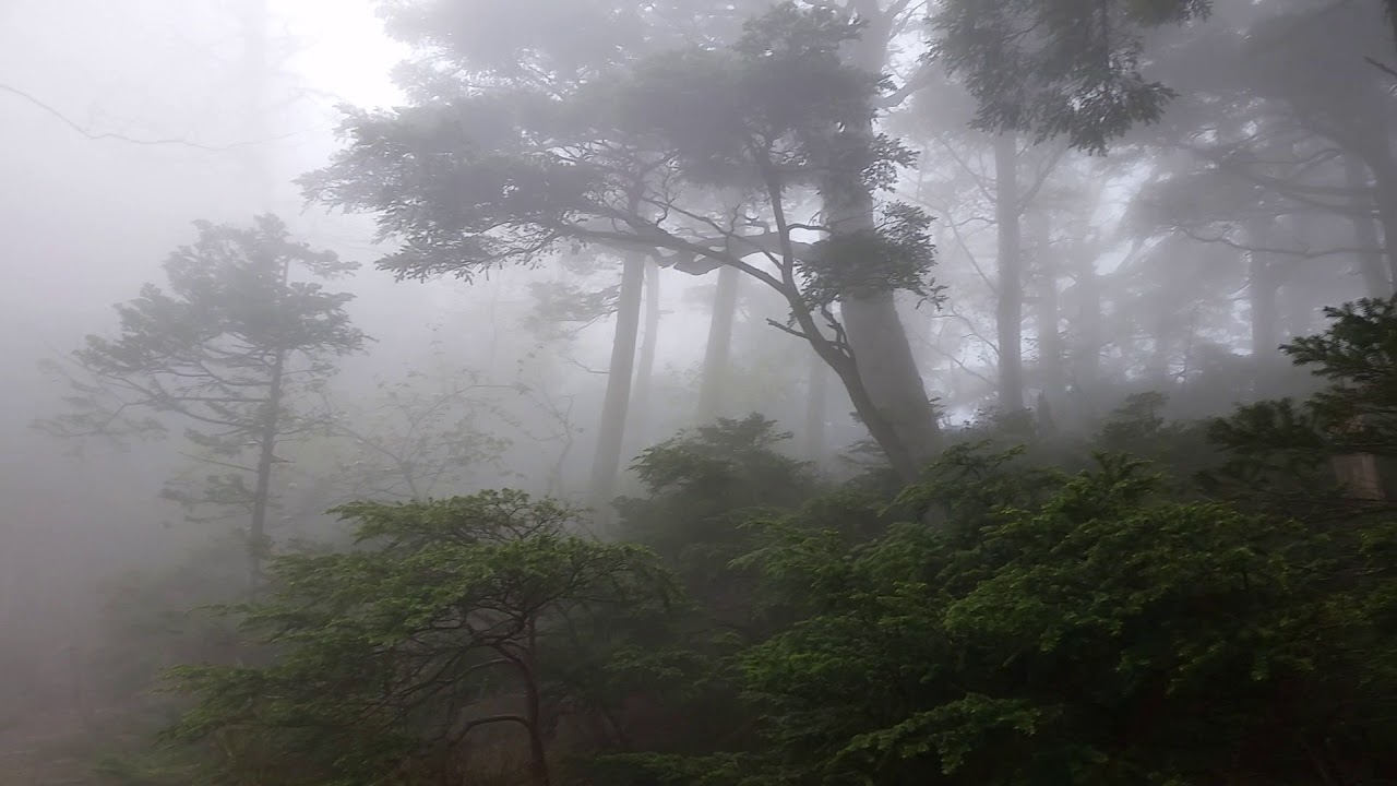 Mt. Nyoho