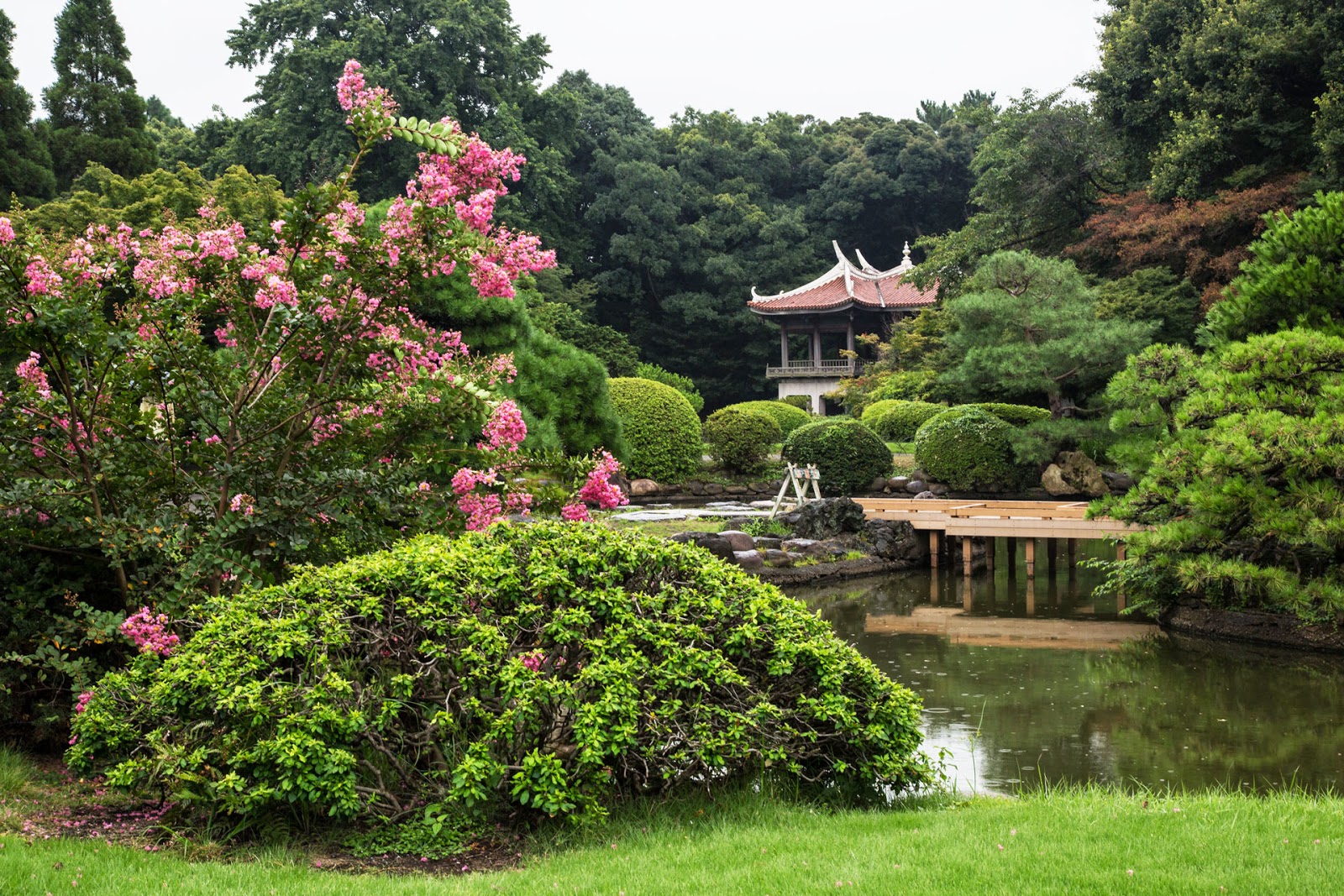 Shinjuku Gyoen National Garden