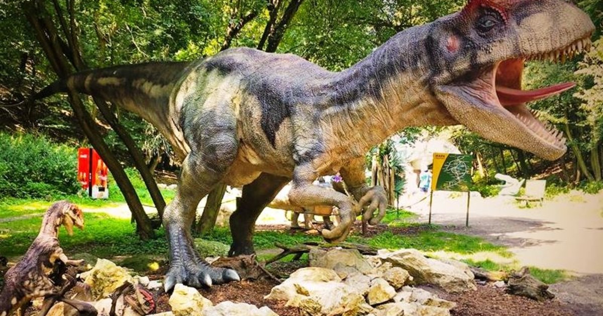 Dinos Park Tomakomai