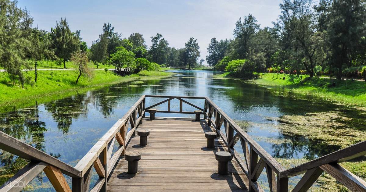 Black Forest Park Pipa Lake