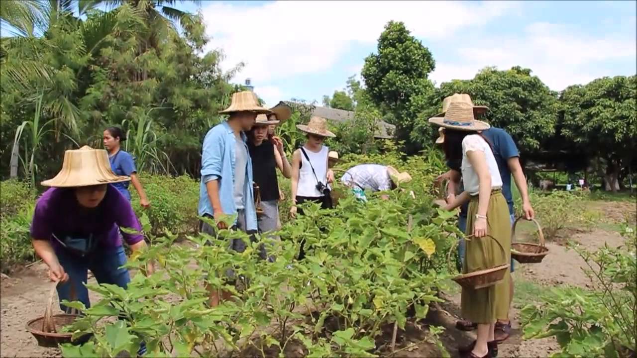 Baan Farm Thai Cooking School