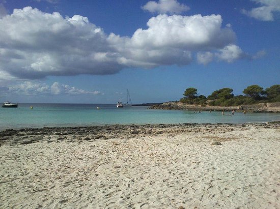 Playa Arenal De Son Saura